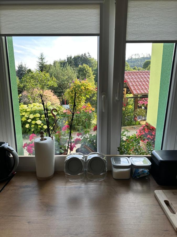 Appartamento Mr. Sowa Sokolec Ludwikowice Kłodzkie Esterno foto