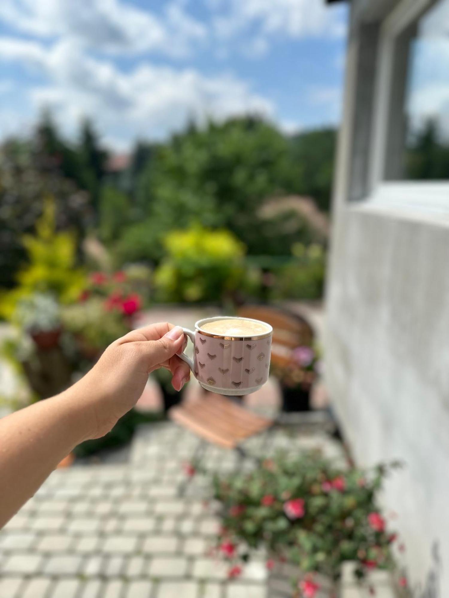 Appartamento Mr. Sowa Sokolec Ludwikowice Kłodzkie Esterno foto