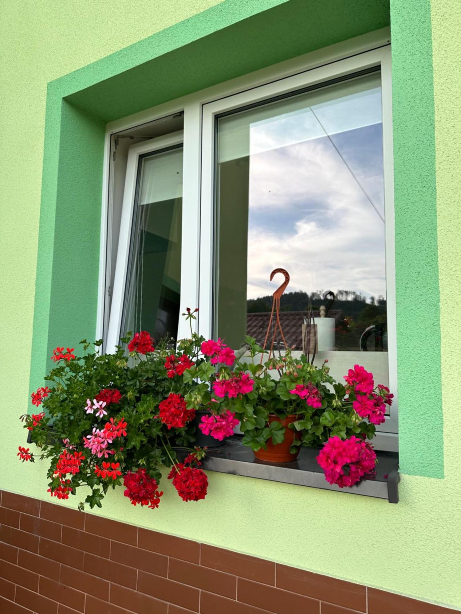 Appartamento Mr. Sowa Sokolec Ludwikowice Kłodzkie Esterno foto