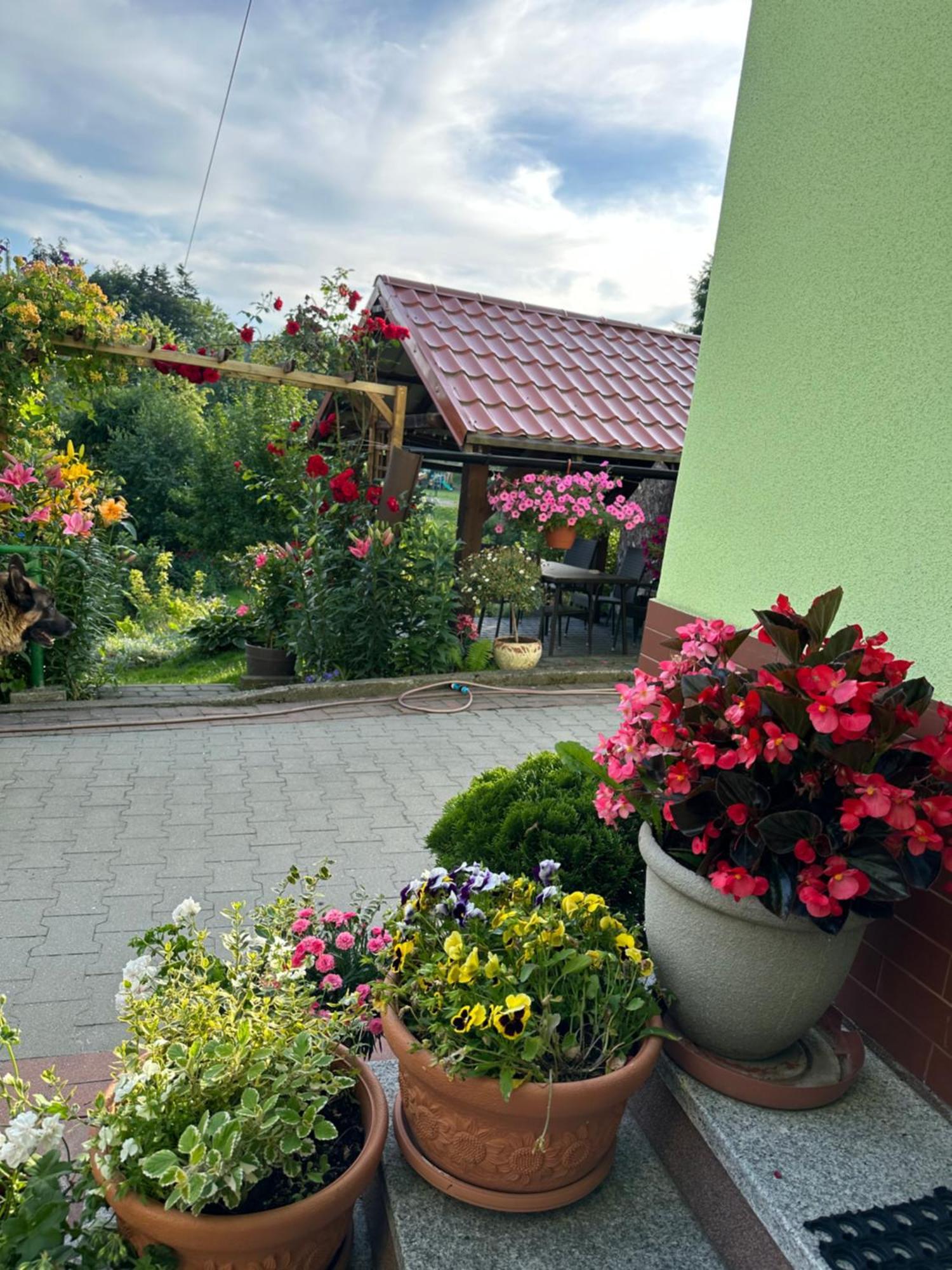 Appartamento Mr. Sowa Sokolec Ludwikowice Kłodzkie Esterno foto
